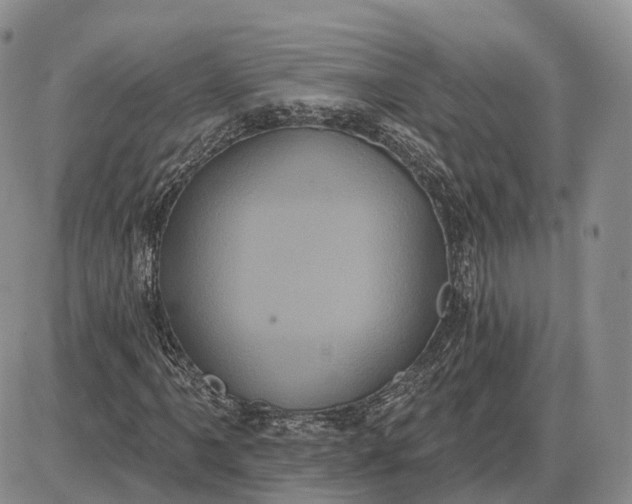 X0000085041061200703191227