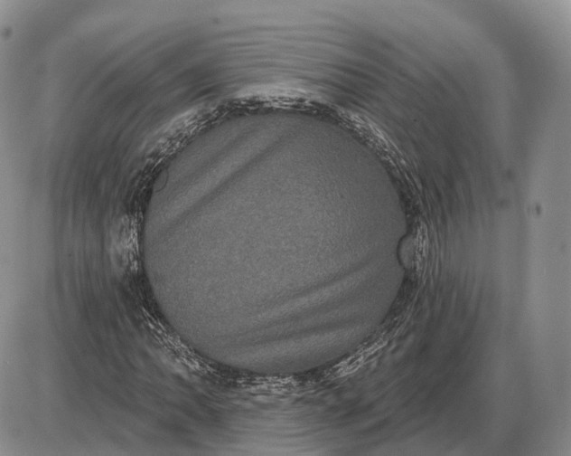 X0000085041062200703191227