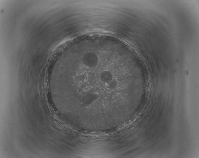 X0000085041063200703191227