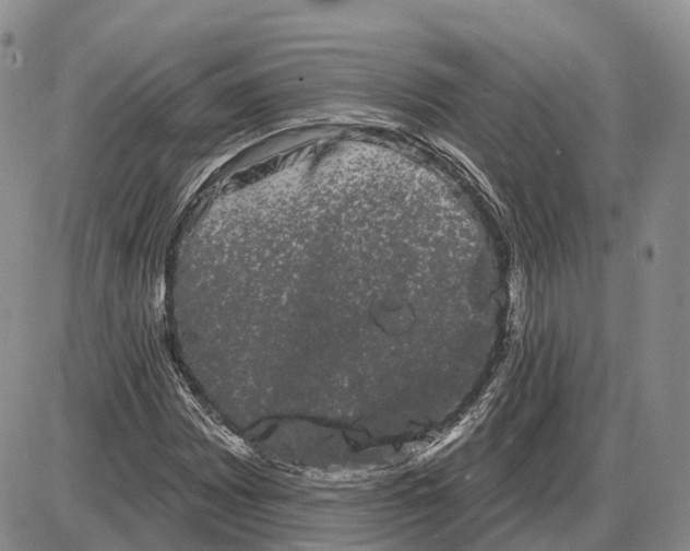 X0000085041065200703191227