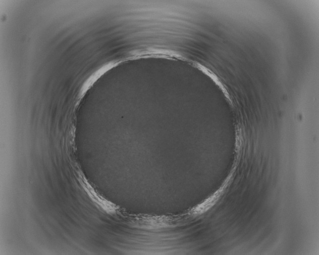 X0000085041066200703191227