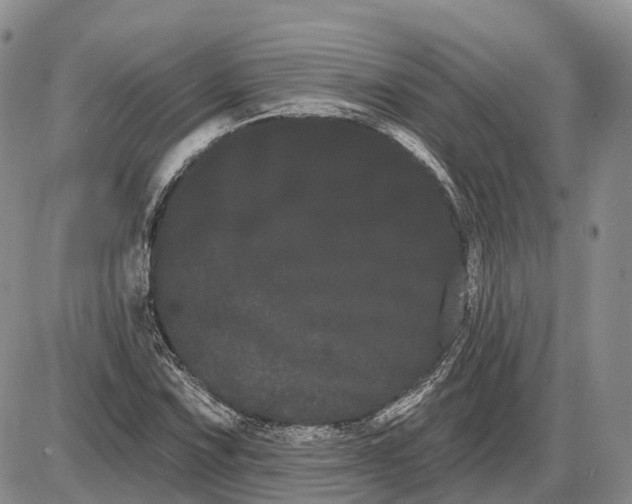 X0000085041067200703191227