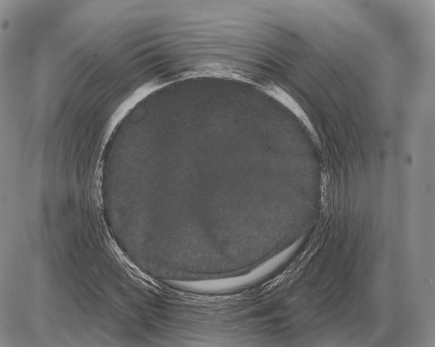 X0000085041068200703191227