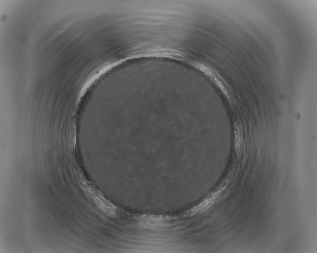 X0000085041069200703191227