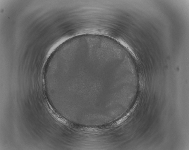 X0000085041070200703191227