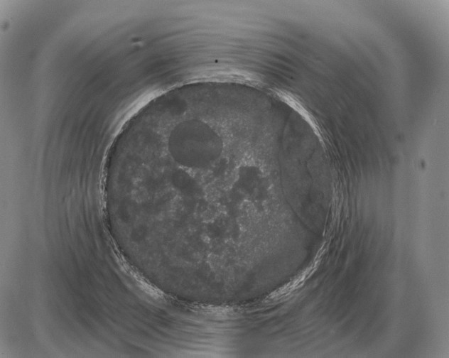 X0000085041071200703191227