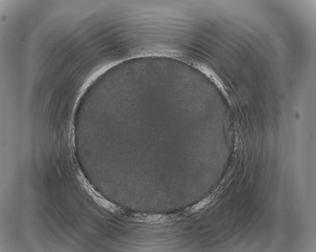 X0000085041072200703191227