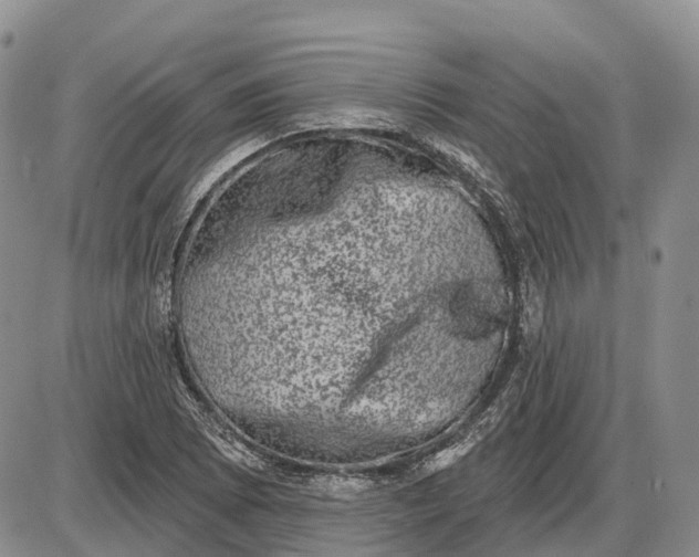 X0000085041073200703191227