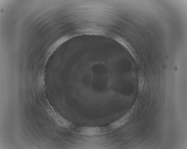 X0000085041074200703191227