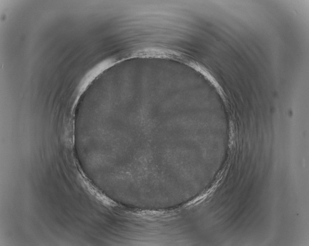 X0000085041075200703191227