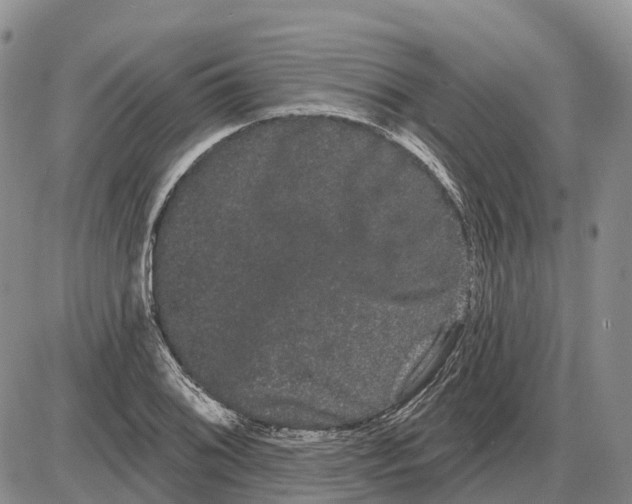 X0000085041076200703191227