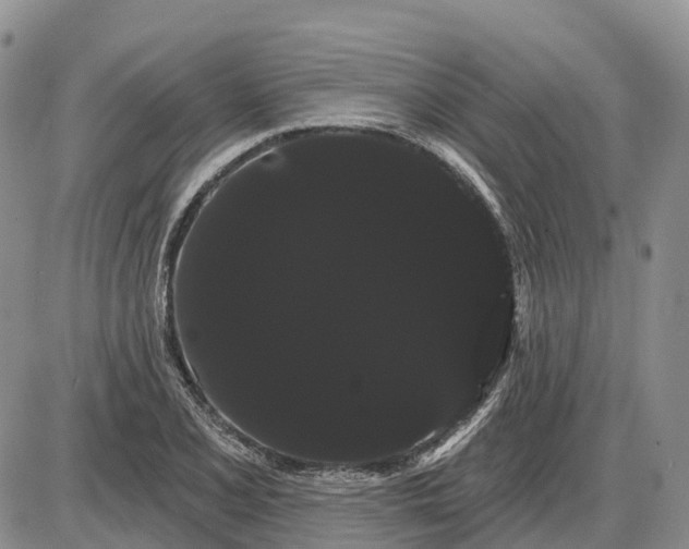 X0000085041077200703191227