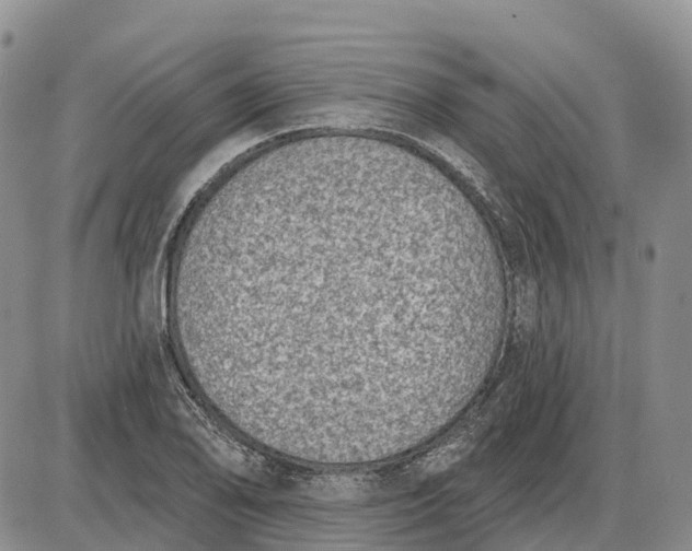 X0000085041078200703191227