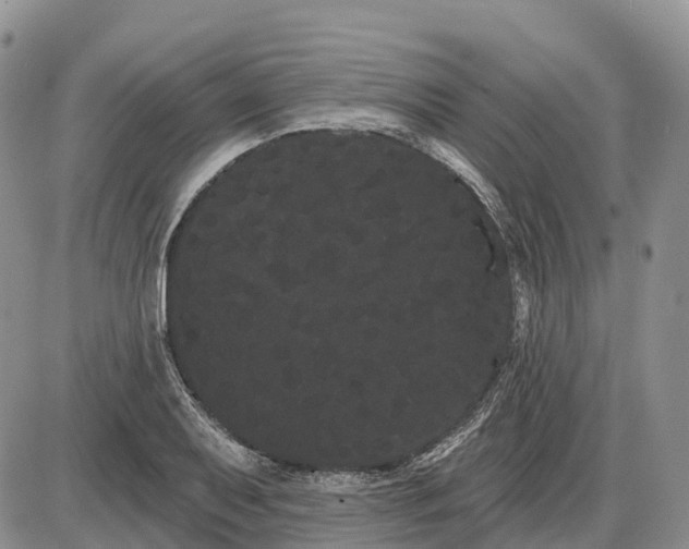 X0000085041079200703191227