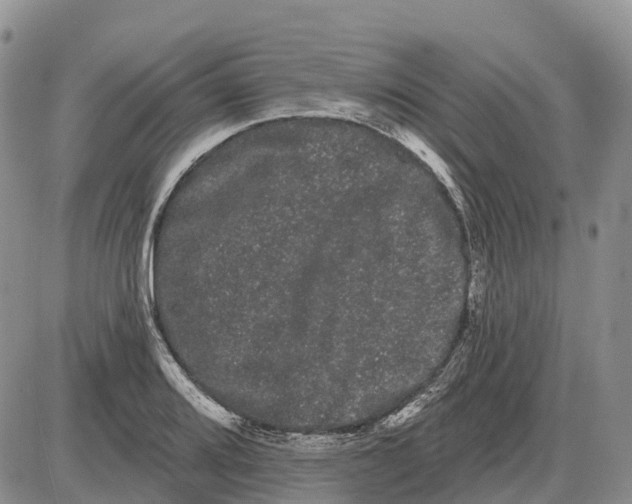 X0000085041080200703191227