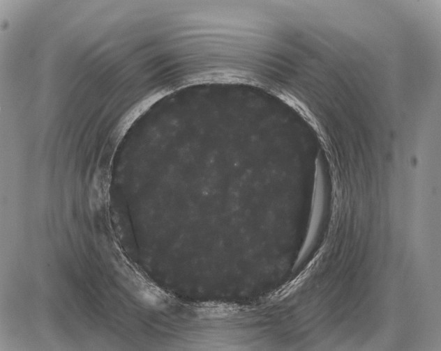 X0000085041081200703191227