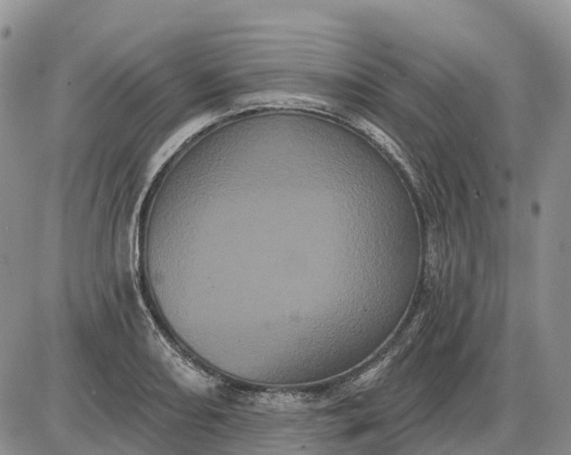 X0000085041082200703191227