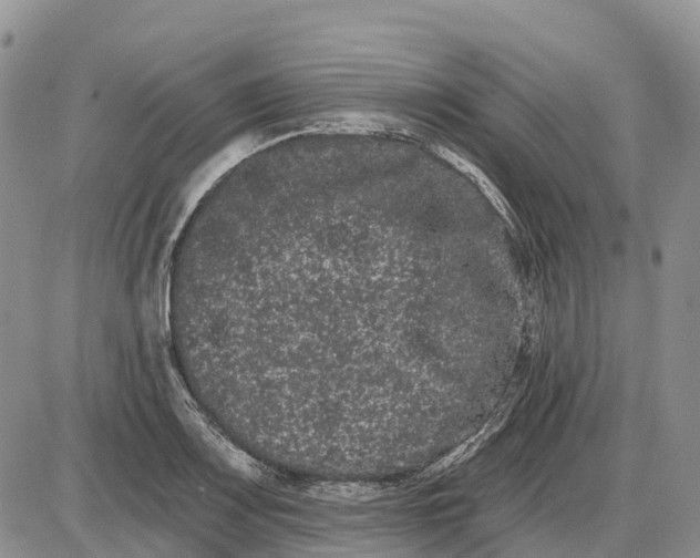 X0000085041083200703191227