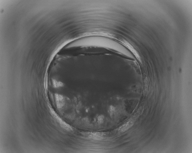 X0000085041084200703191227