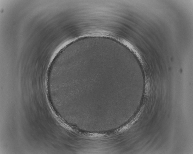 X0000085041085200703191227