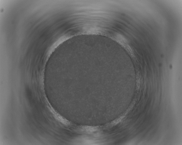 X0000085041086200703191227