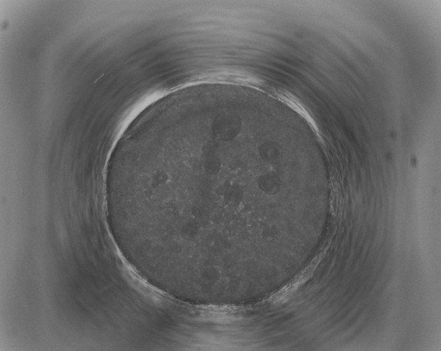 X0000085041087200703191227