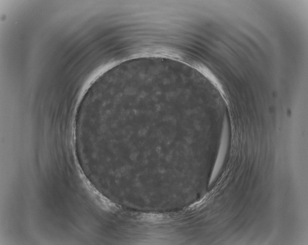 X0000085041088200703191227