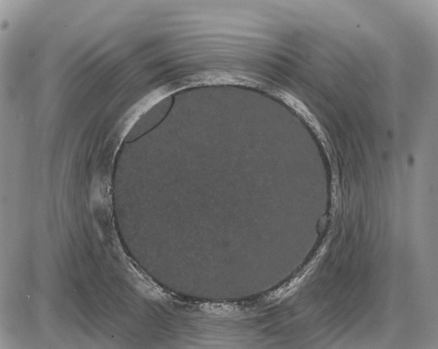 X0000085041089200703191227