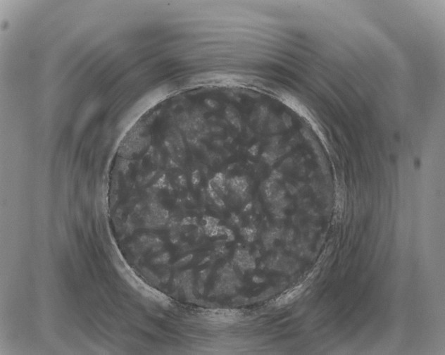 X0000085041090200703191227