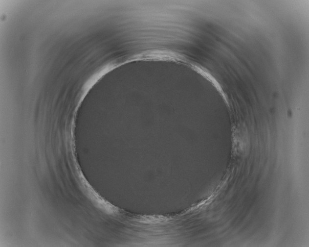 X0000085041091200703191227