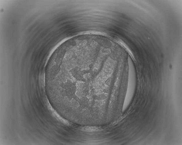 X0000085041092200703191227