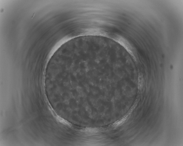 X0000085041094200703191227