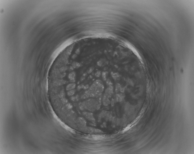 X0000085041095200703191227