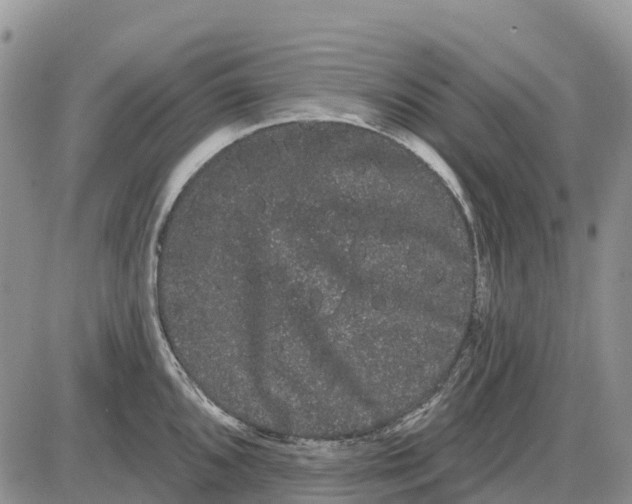 X0000085041096200703191227