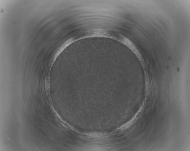 X0000085041097200703191227