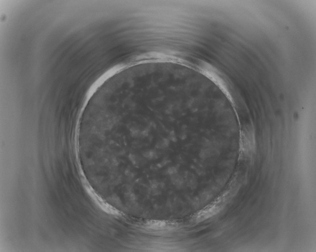 X0000085041098200703191227