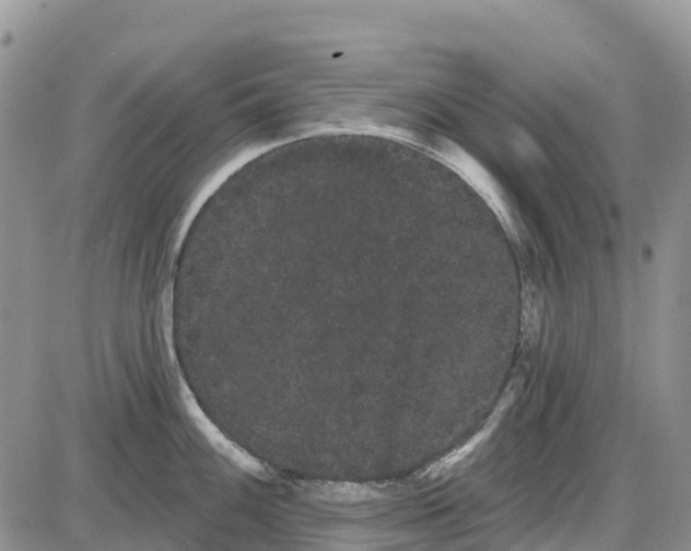 X0000085041100200703191227