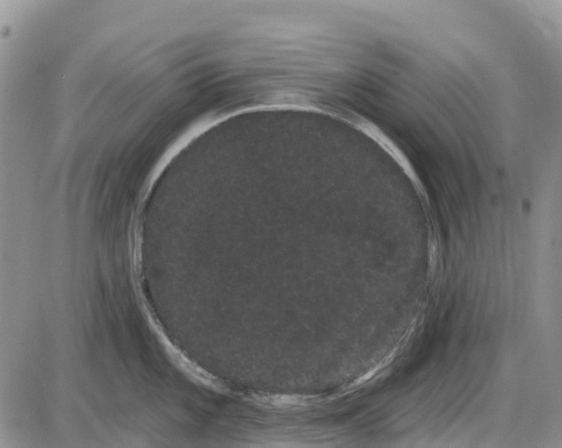 X0000085041101200703191226