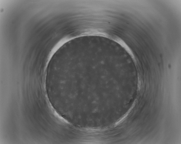 X0000085041102200703191226