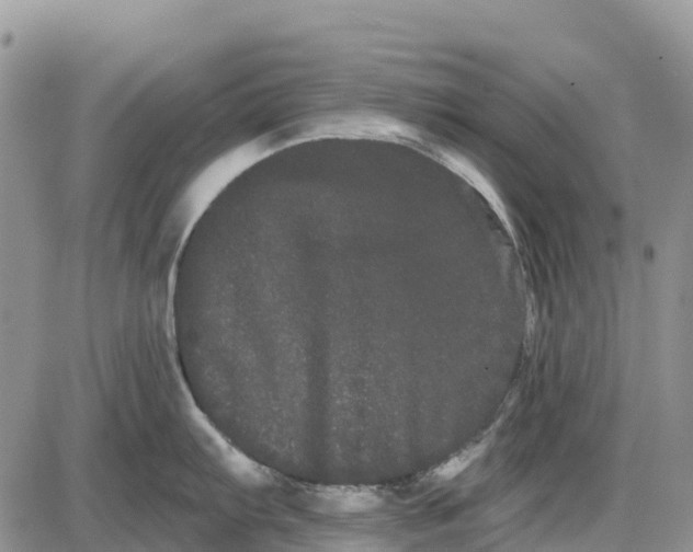 X0000085041103200703191226