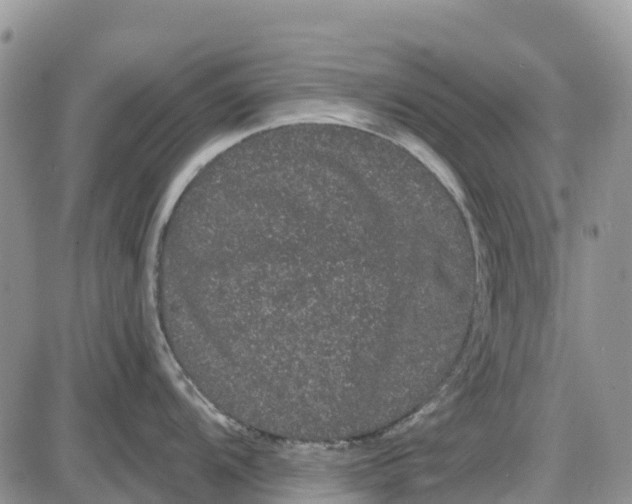 X0000085041104200703191226