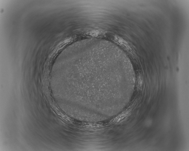 X0000085041105200703191226