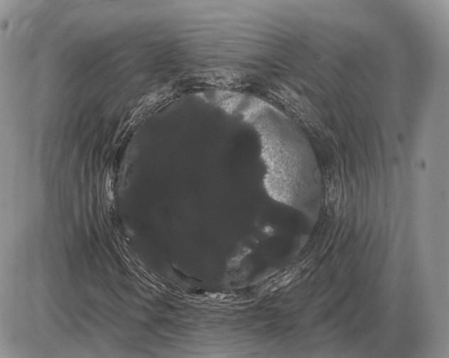 X0000085041106200703191226