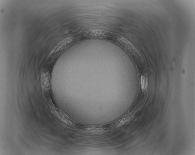 X0000085041107200703191226