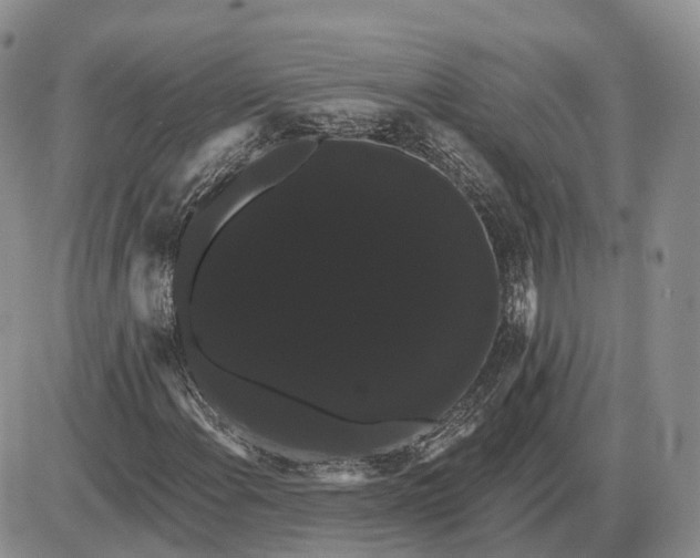 X0000085041108200703191226