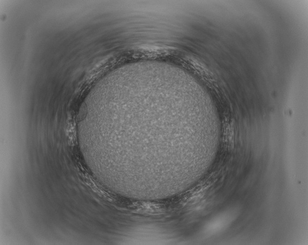 X0000085041109200703191226