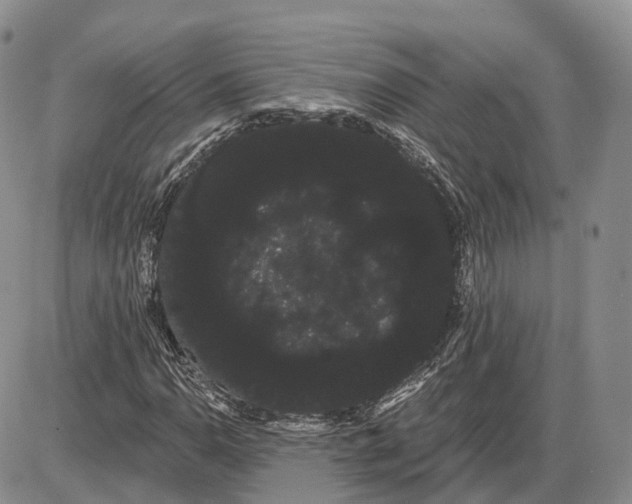 X0000085041110200703191226