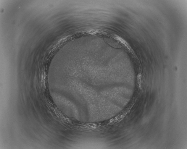 X0000085041111200703191226