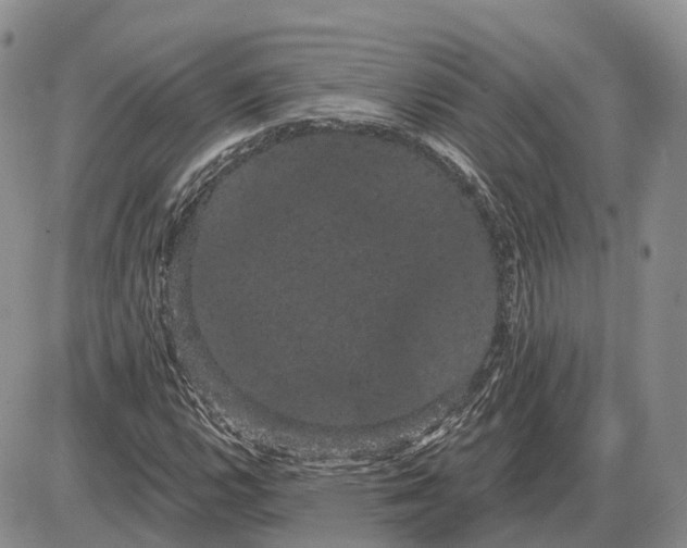 X0000085041112200703191226