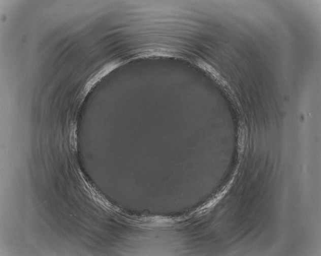 X0000085041113200703191226